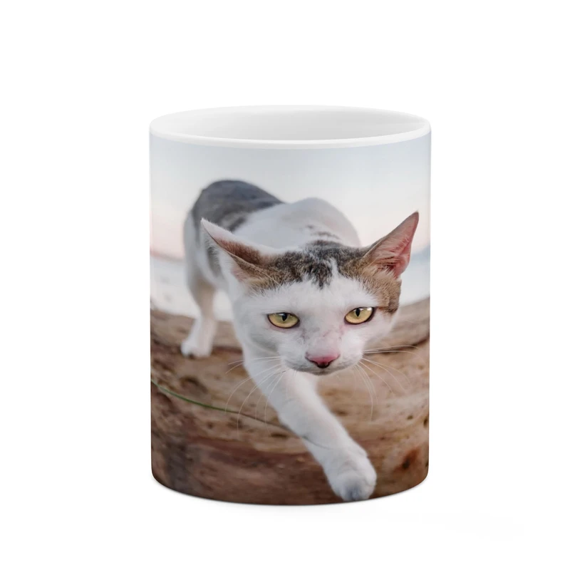 ماگ کاکتی مدل گربه کد mgh17371