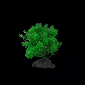 گیاه تزیینی آکواریوم مدل درختچه کد 130