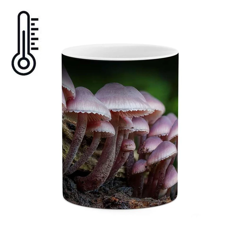 ماگ حرارتی کاکتی مدل قارچ کد mgh15556