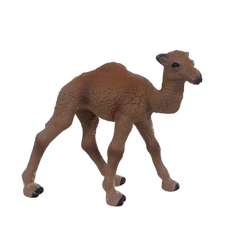 فیگور مدل بچه شتر تک کوهانه کد 22