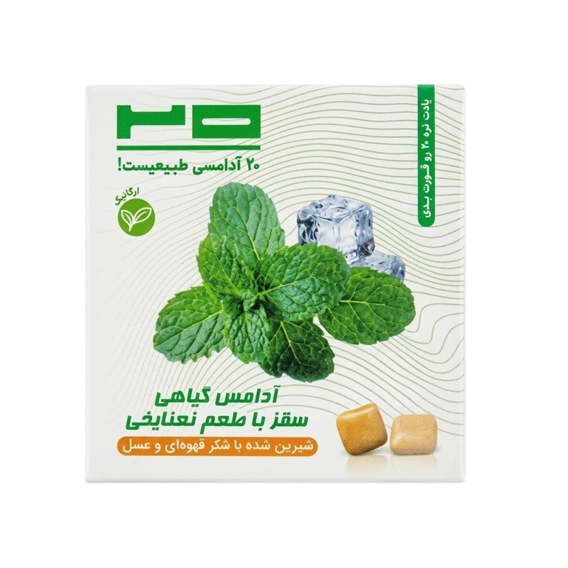 آدامس طبیعی سقز نعنا یخی بیست - ۲۰ گرم