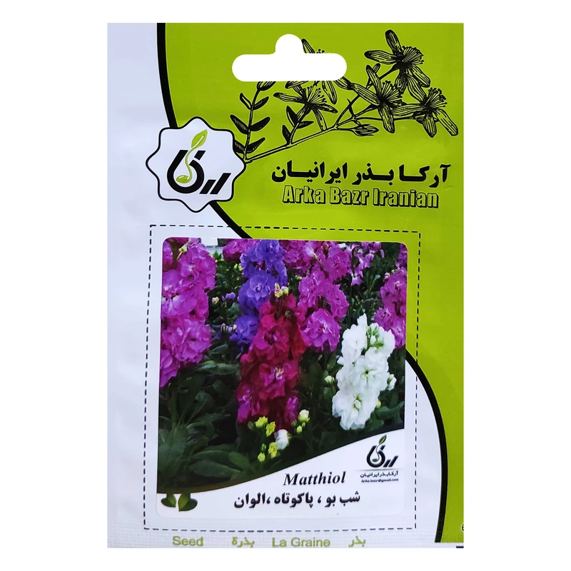 بذر گل شب بو پا کوتاه الوان آرکا بذر ایرانیان کد ARK-036