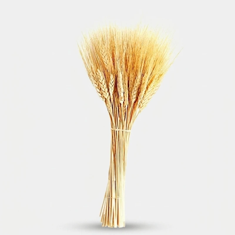 دسته گل خشک مدل خوشه گندم کد 40