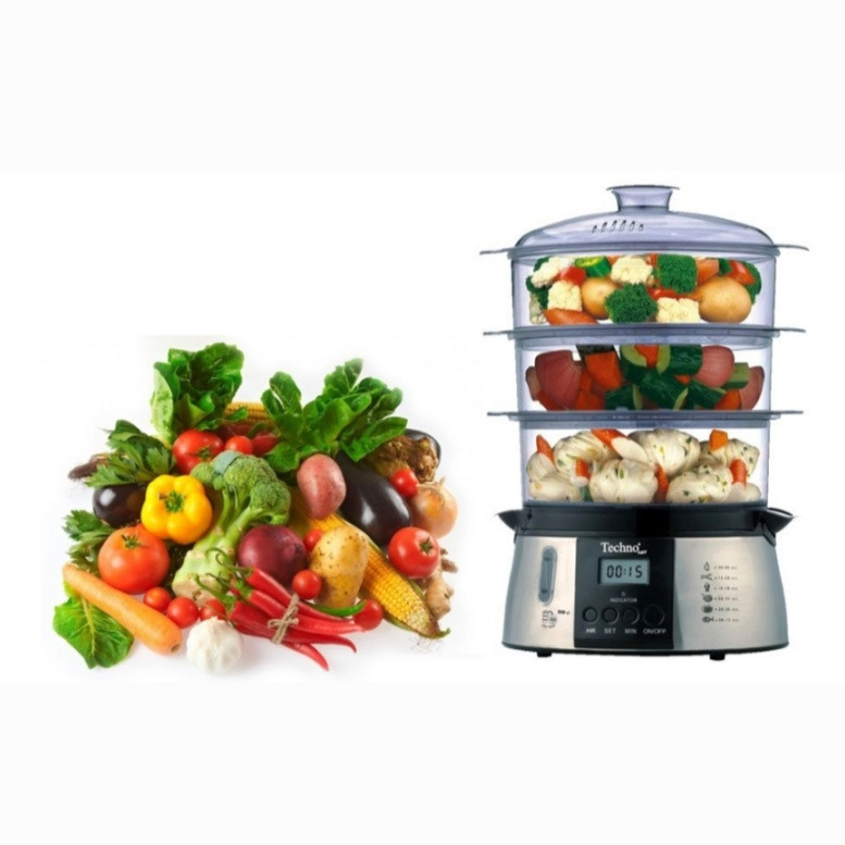 بخارپز تکنو مدل TE_251