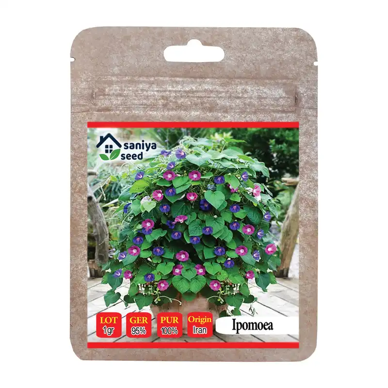 بذر گل نیلوفر رونده الوان سانیا سید مدل SS69