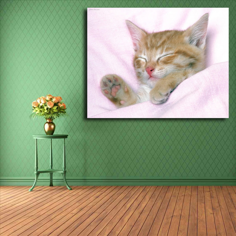 تابلو شاسی مدل گربه کد 27