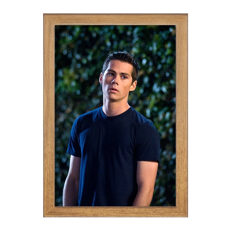 تابلو خندالو مدل استایلز استلینسکی سریال تین ولف Teen Wolf کد 28446