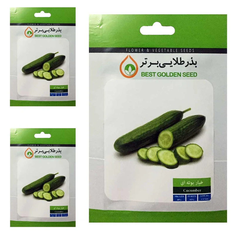 بذر خیار بوته ای بذر طلایی برتر کد BTB-53 مجموعه 3 عددی