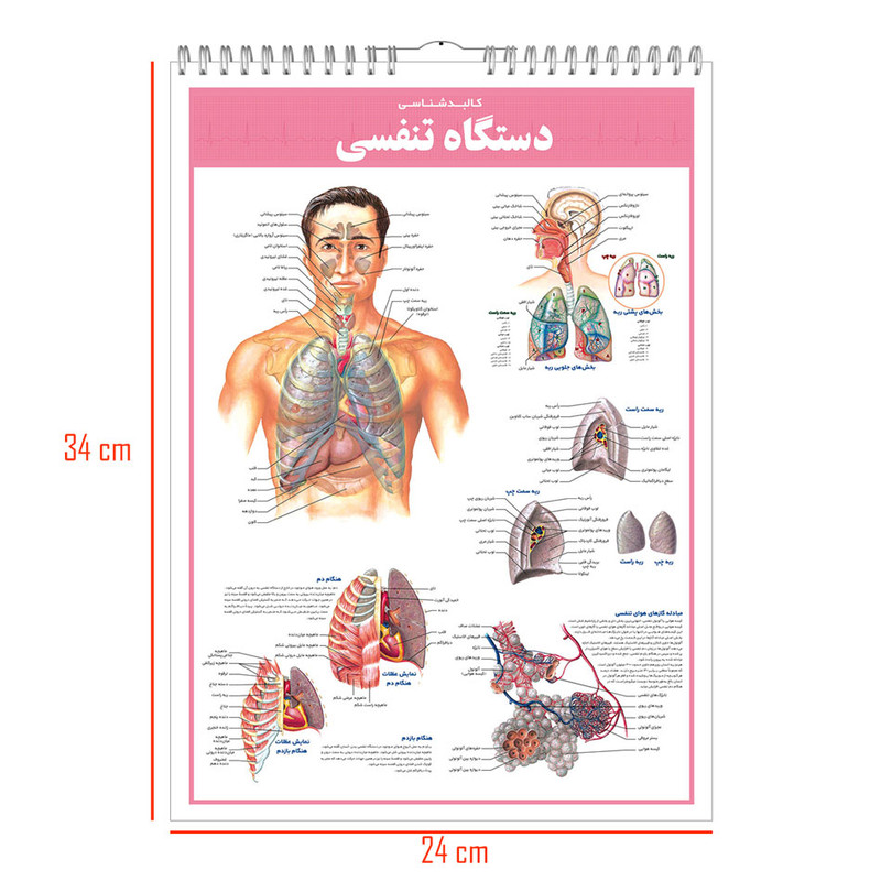 کتاب اطلس کالبدشناسی بدن انسان اثر حمیدرضا بیات انتشارات اندیشه کهن
