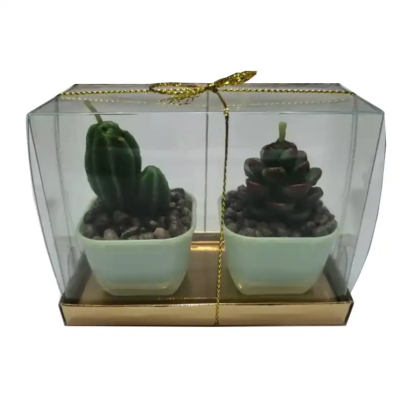 شمع طرح کاکتوس بسته 2 عددی