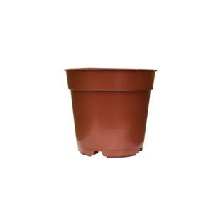 گلدان مدل پلاستیکی کد A_6 بسته 20 عددی