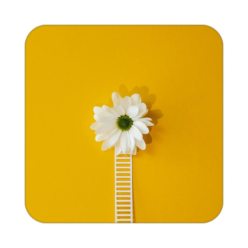 زیر لیوانی کاکتی طرح گل مدل mp19058