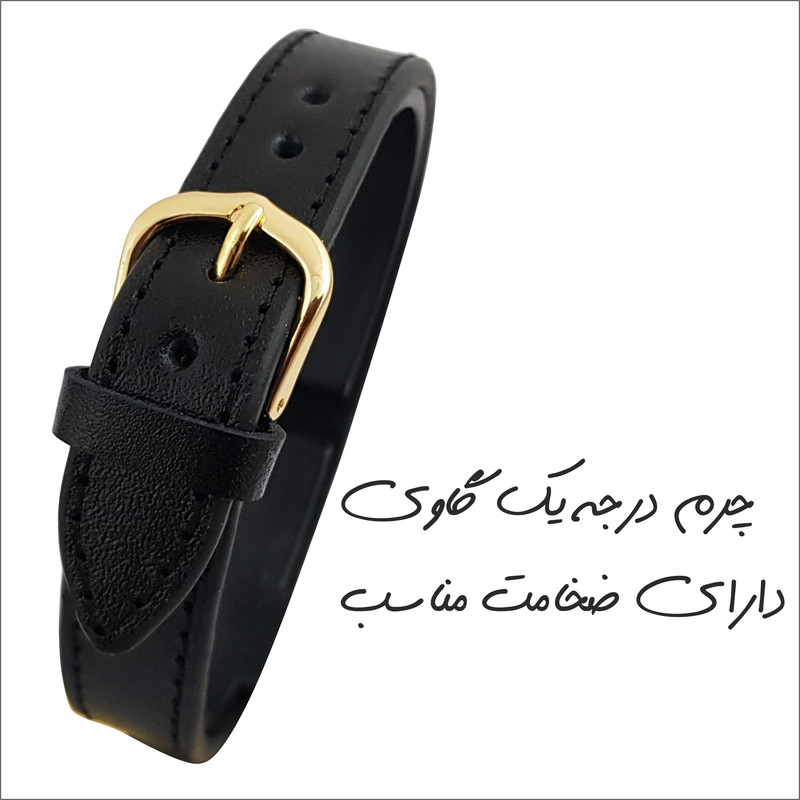 دستبند گيلواره زراوشان مدل چرم وان یکاد کد CH2 دستبند گيلواره زراوشان مدل چرم وان یکاد کد CH2