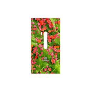 MAHOOT Atom Universe 3 Cover Sticker for Nokia Lumia 920