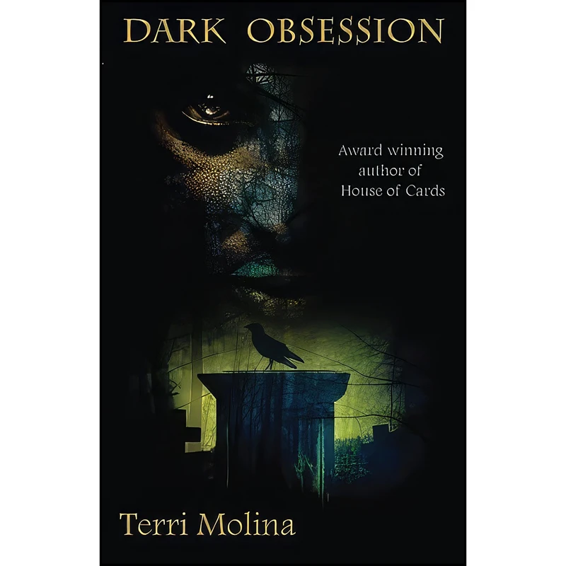کتاب Dark Obsession اثر Terri Molina انتشارات تازه ها