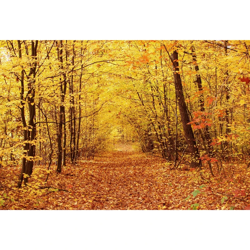 تابلو شاسی مدل درخت و برگ زرد پاییزی T7091
