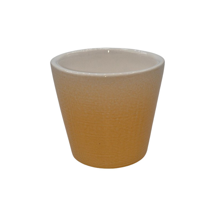 فنجان مدل CLR