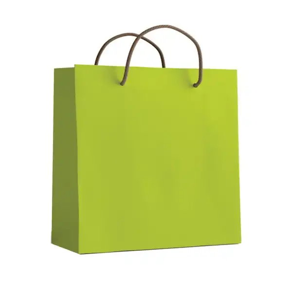 ساک دستی مدل 10086 بسته 12 عددی