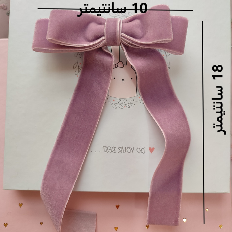 گیره مو دخترانه مدل پاپیون مخمل