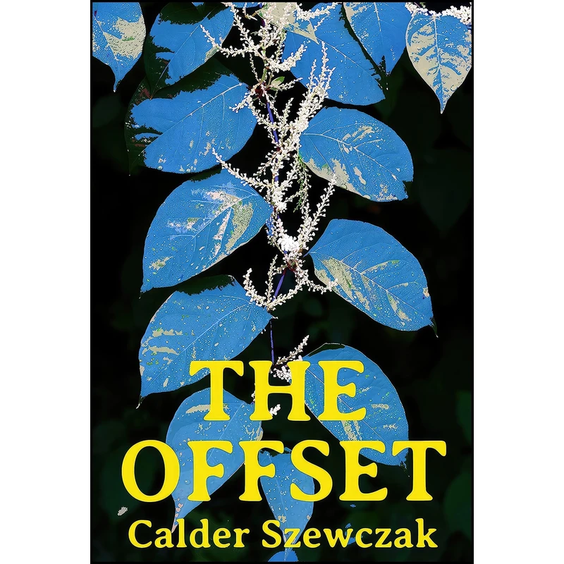 کتاب The Offset اثر جمعي از نويسندگان انتشارات Angry Robot
