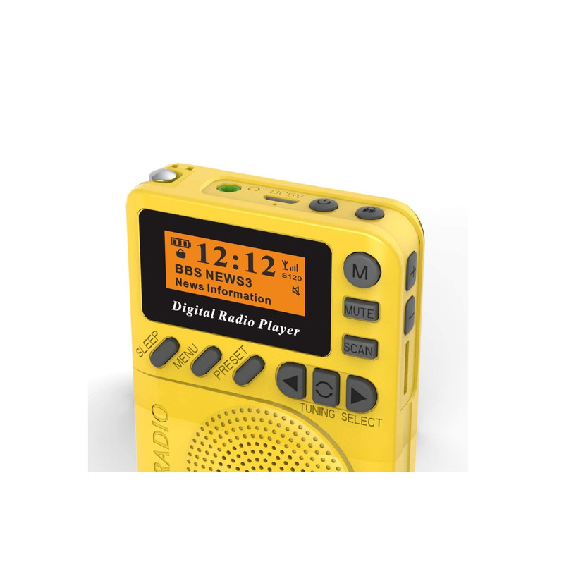 رادیو دیجیتال مدل DAB-P9