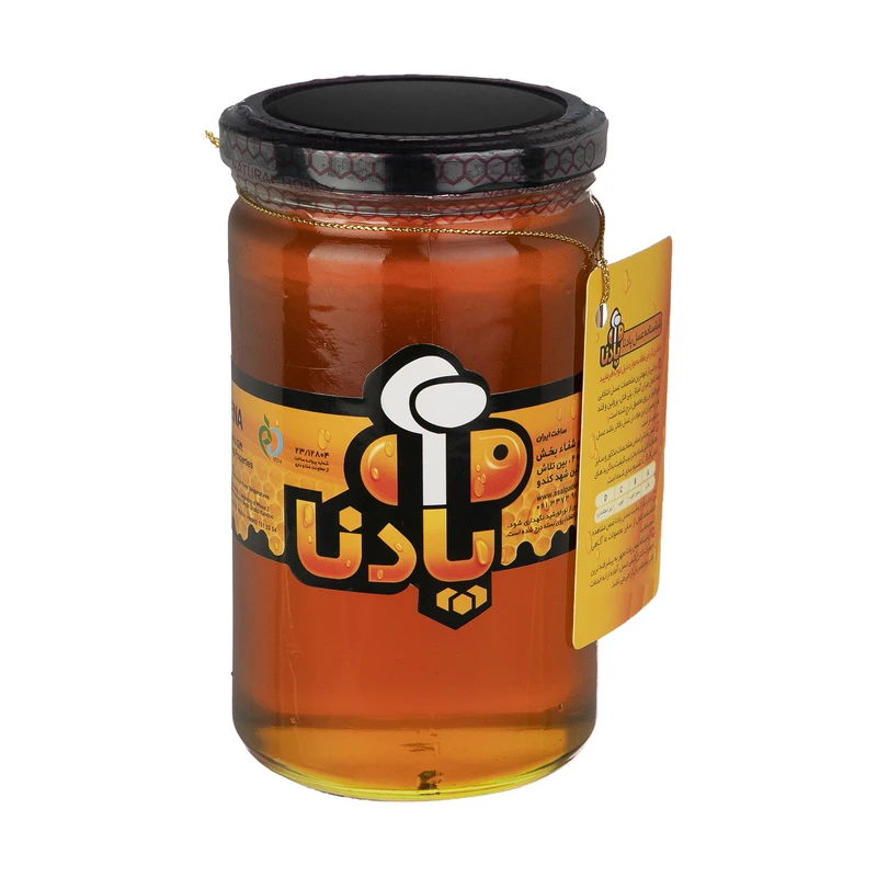 عسل طبیعی پادنا - 850 گرم