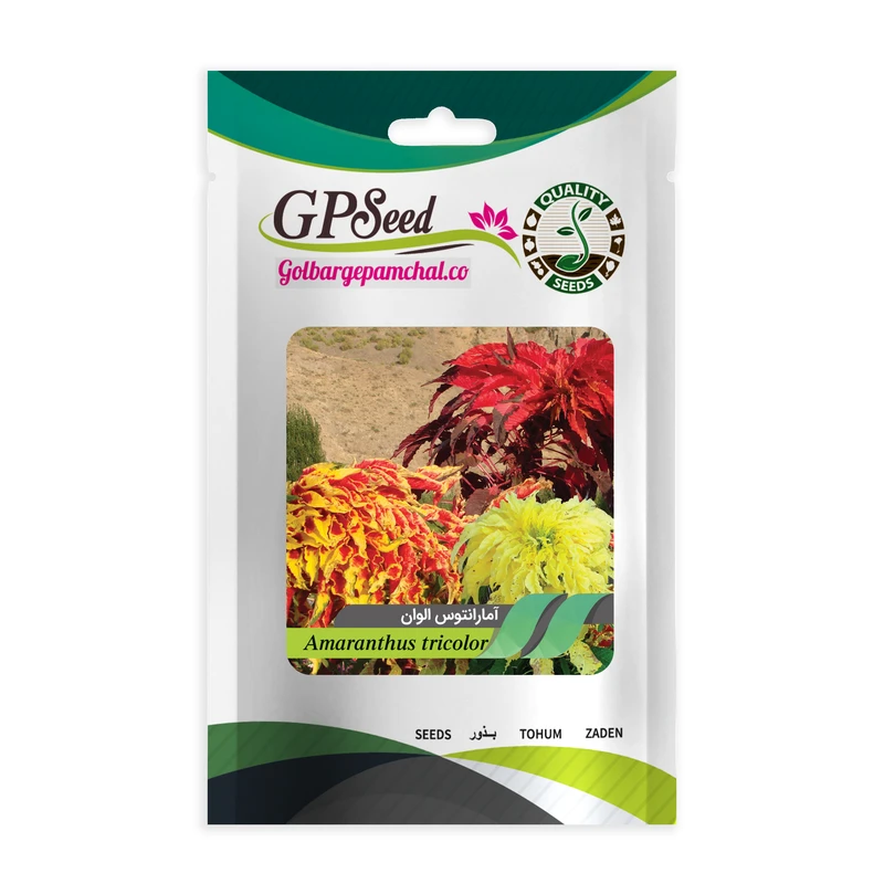 بذر گل آمارانتوس گلبرگ پامچال کد GPF-010