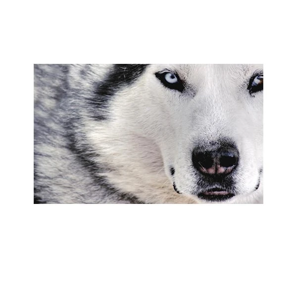   پادری مدل حیوانات کد HSHMA0088 سایز 76x46 سانتی متر