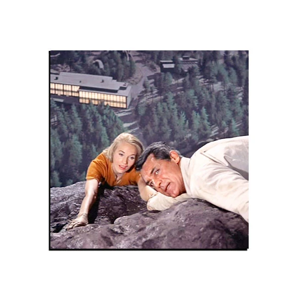 تابلو شاسی مدل فیلم شمال از شمال ‌غربی