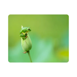 ماوس پد اطلس آبی طرح قورباغه و غنچه گل  مدل T7679
