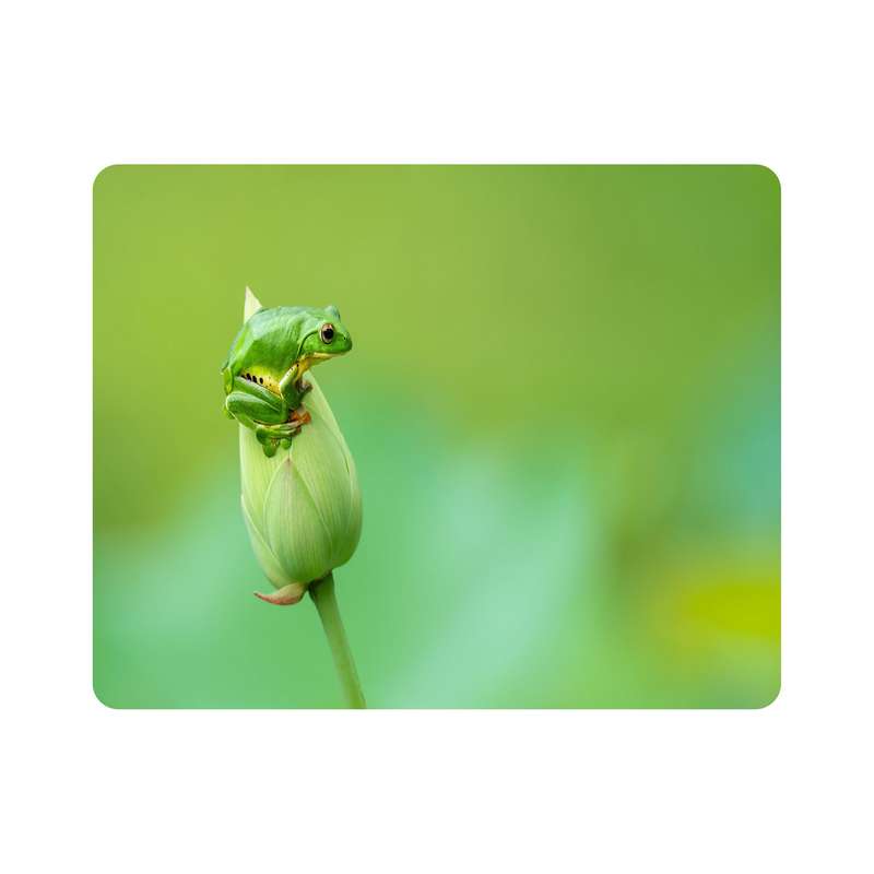 ماوس پد اطلس آبی طرح قورباغه و غنچه گل  مدل T7679