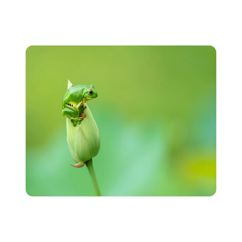ماوس پد اطلس آبی طرح قورباغه و غنچه گل مدل T7679