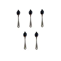 قاشق غذای کمکی دهی پرندگان زینتی مدل X01 مجموعه 5 عددی