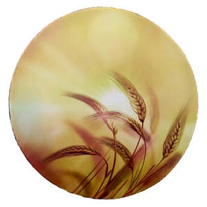 دف سینا مدل 2.4 کد 03