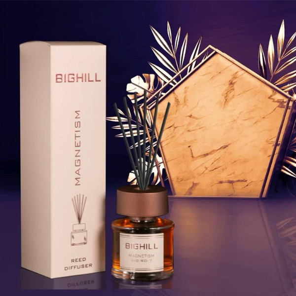 خوشبوکننده هوا ایفل مدل MAGNETISM  BIGHILL حجم 120 میلی لیتر