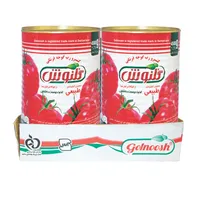 رب گوجه فرنگی گلنوش - 4500 گرم بسته 4 عددی