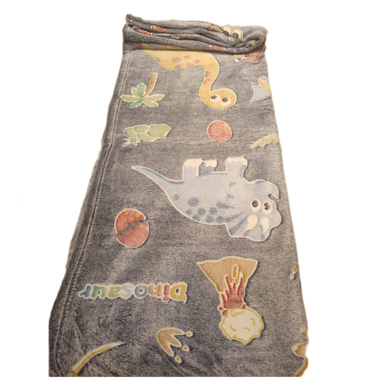 پتو مسافرتی یک نفره مدل شبنما دایناسور6 سایز 200x150 سانتی‌متر