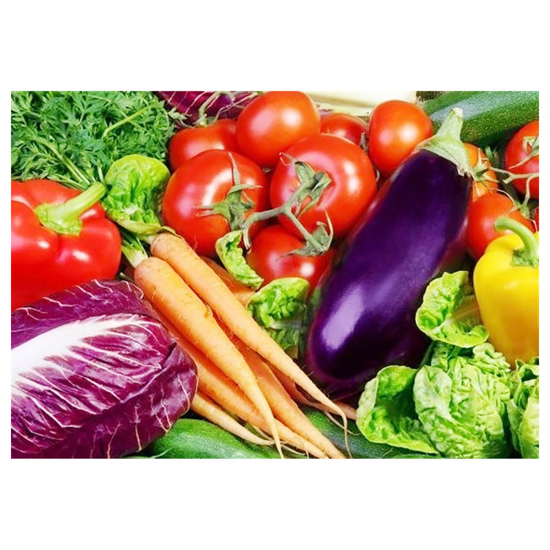 مجموعه کاشت بذر صیفی جات خانگی گرین فارم کد SFJ-G 12 بسته 9 عددی