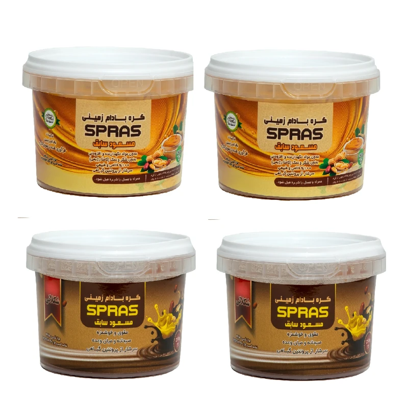 کره بادام زمینی رژیمی کرانچی و شکلاتی اسپراس - 250 گرم بسته 4 عددی