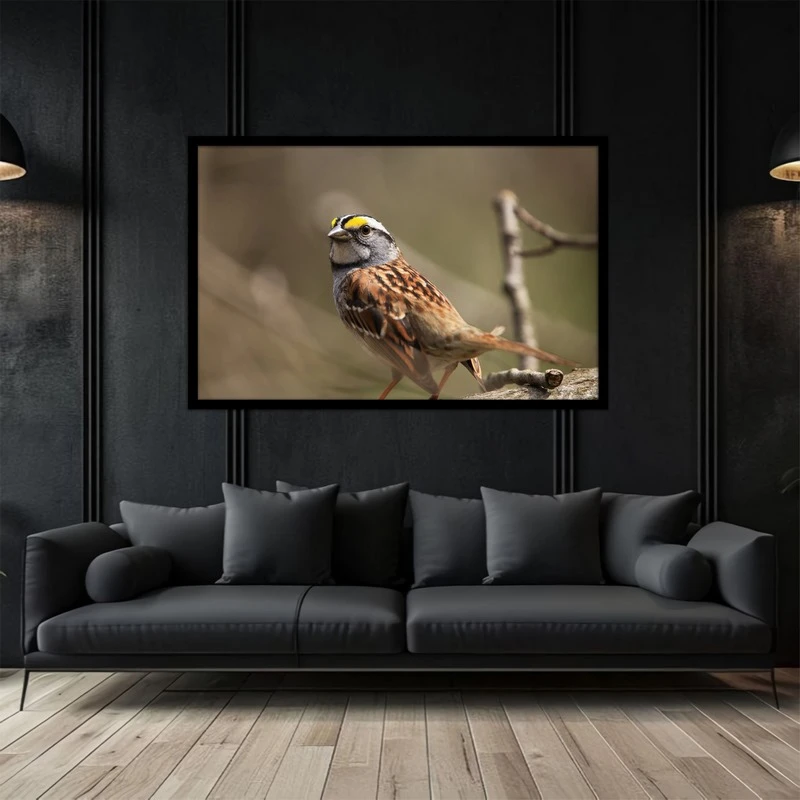 تابلو بکلیت طرح طبیعت  گنجشک پرنده و پرندگان مدل B-bu5194