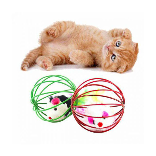 اسباب بازی گربه مدل موش در قفس