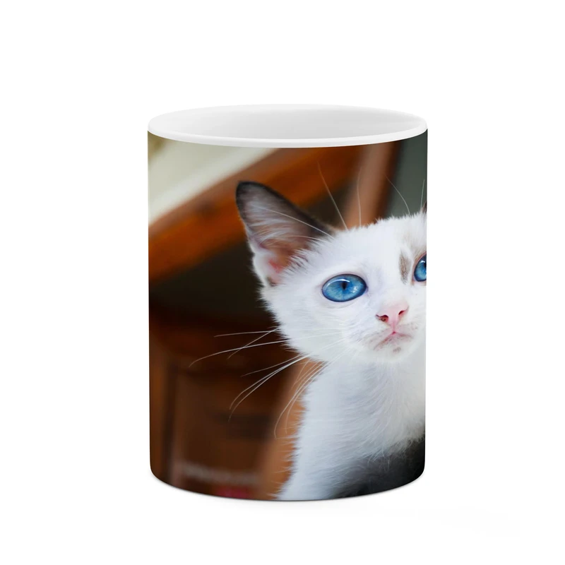 ماگ کاکتی مدل گربه کد mgh17331