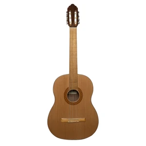 گیتار کلاسیک بنبرگ مدل BG 491