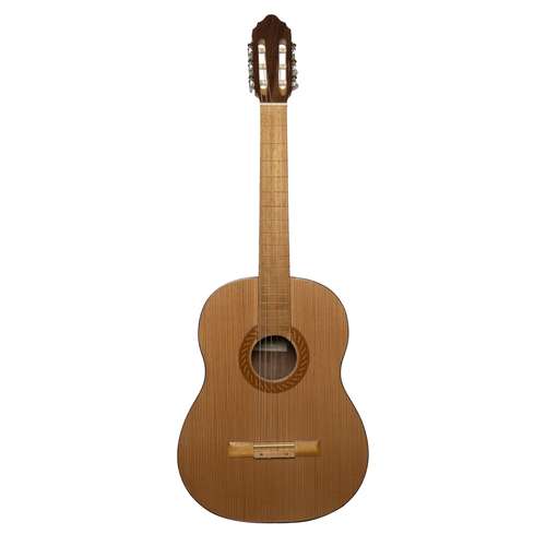 گیتار کلاسیک بنبرگ مدل BG 491