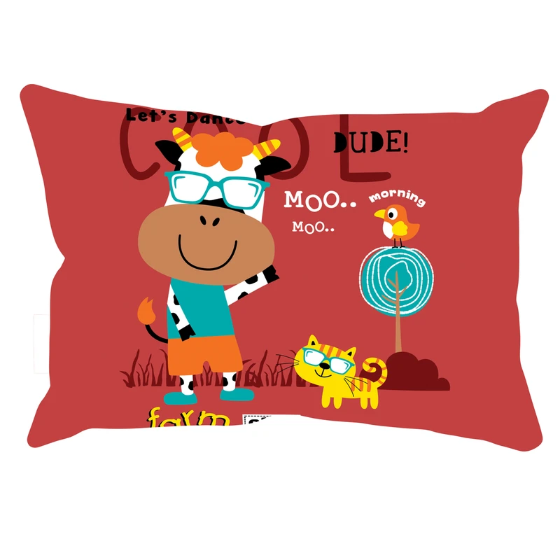 رو بالشی مدل فانتزی دورو طرح دار کد 140053