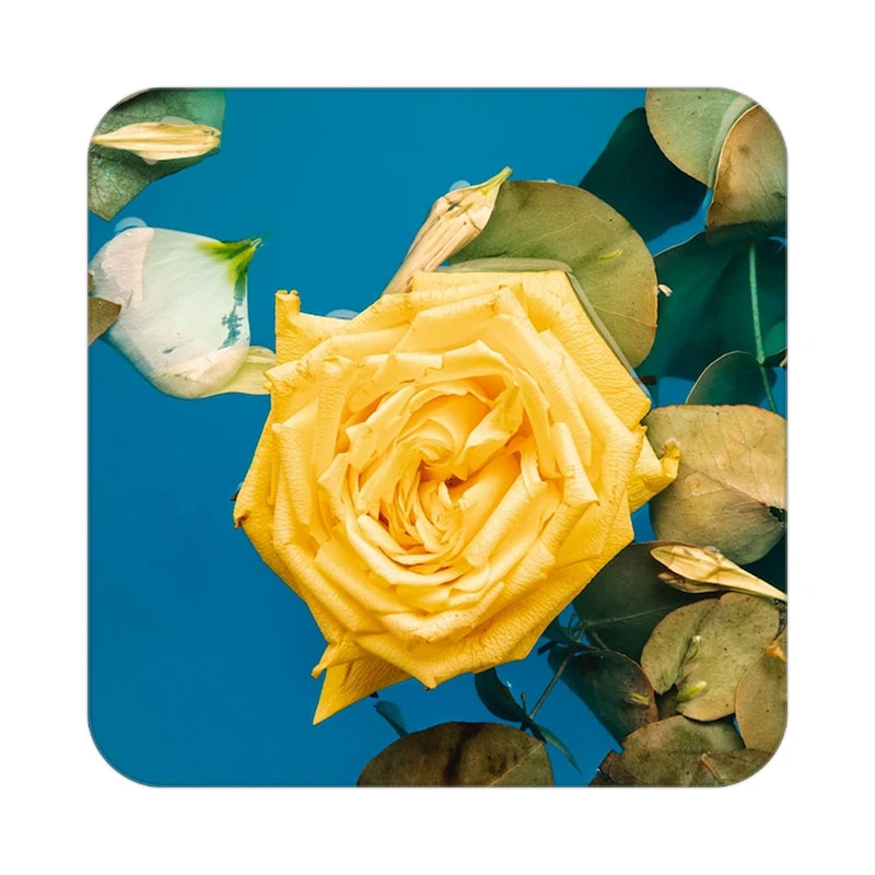 زیر لیوانی کاکتی طرح گل مدل mp19298