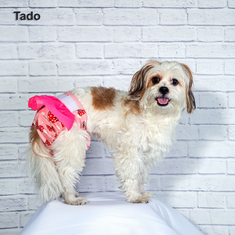 پوشک سگ تادو طرح ماده دامنی کد 1124 سایز XL