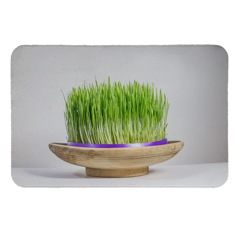  پادری طرح سبزه کد 5763 سایز 60 × 40 سانتی‌متر