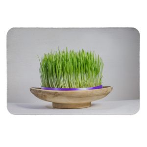 رطوبت گیر کنار سینک کد 5763