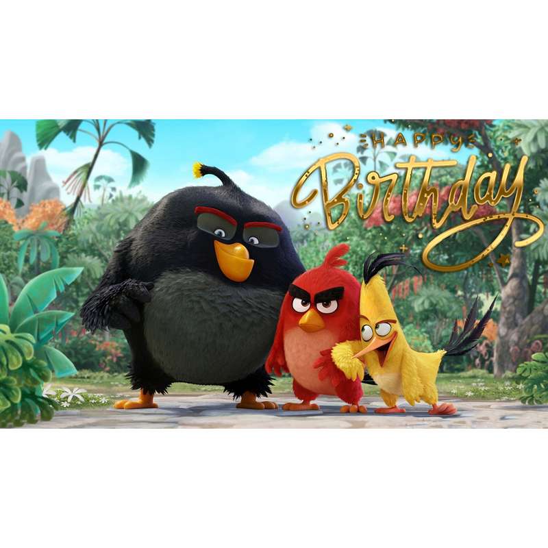 بنر تولد مدل angry birds کد 113
